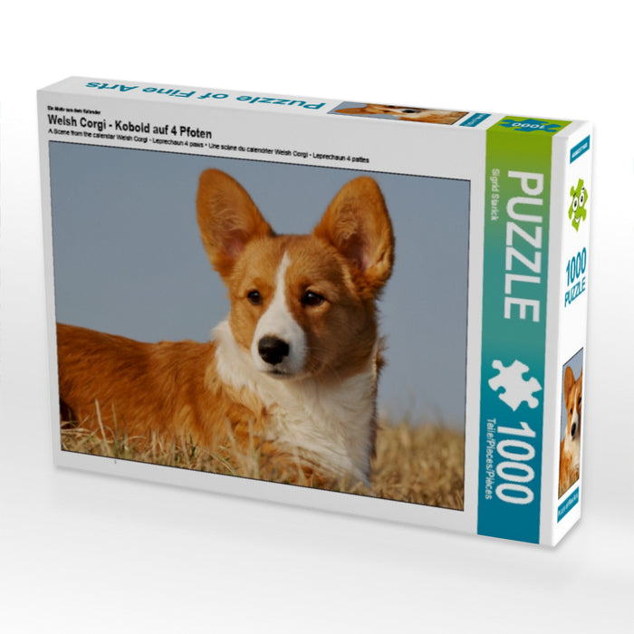 Welsh Corgi - Kobold auf 4 Pfoten - CALVENDO Foto-Puzzle - calvendoverlag 29.99