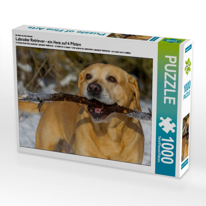 Labrador Retriever - ein Herz auf 4 Pfoten - CALVENDO Foto-Puzzle - calvendoverlag 29.99