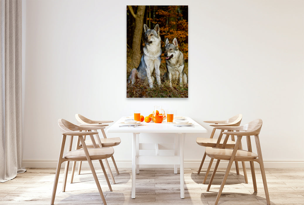 Premium Textil-Leinwand Premium Textil-Leinwand 80 cm x 120 cm  hoch Ein Motiv aus dem Kalender Faszination Wolfhund