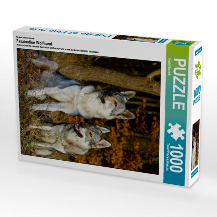 Faszination Wolfhund - CALVENDO Foto-Puzzle - calvendoverlag 29.99