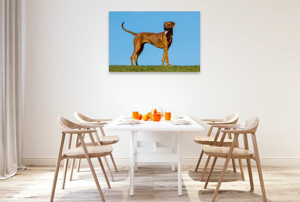 Toile textile haut de gamme Toile textile haut de gamme 120 cm x 80 cm paysage Rhodesian Ridgeback 