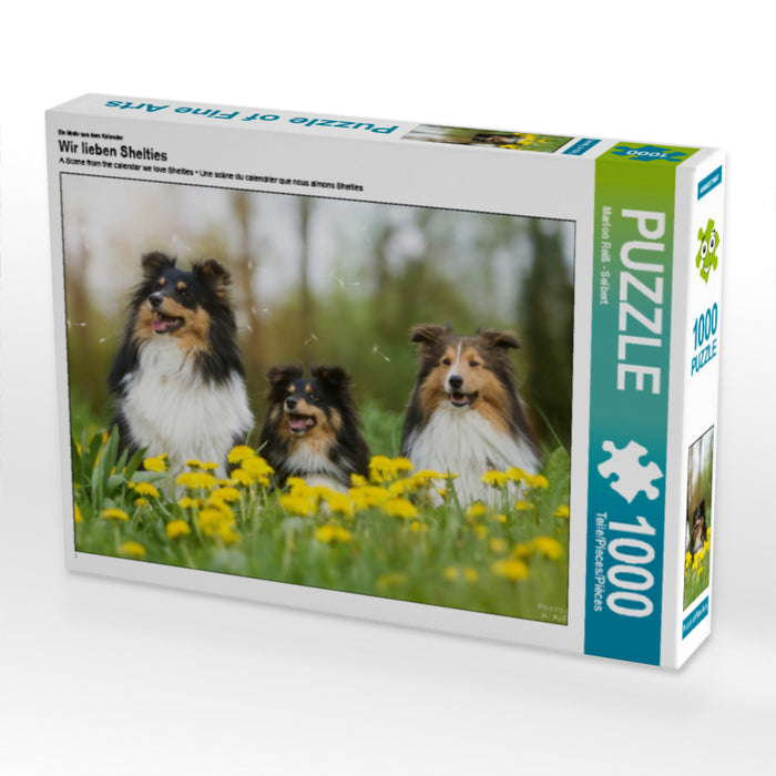 Wir lieben Shelties - CALVENDO Foto-Puzzle - calvendoverlag 29.99