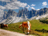 Geisler Gruppe - Raschötzalpe - Gröden Dolomiten - CALVENDO Foto-Puzzle - calvendoverlag 29.99