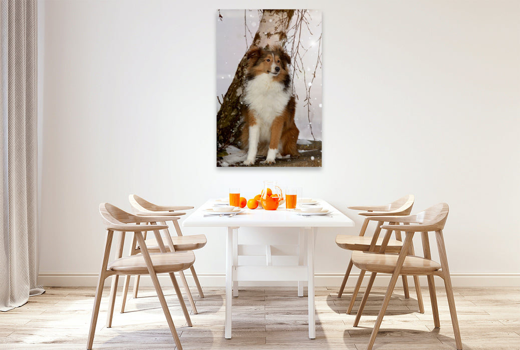 Premium Textil-Leinwand Premium Textil-Leinwand 80 cm x 120 cm  hoch Ein Motiv aus dem Kalender Mit Shelties durchs Jahr