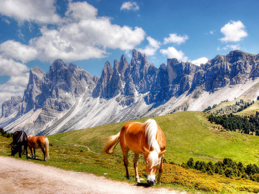 Geisler Spitzen Nordwände von der Raschötzalpe - Gröden - CALVENDO Foto-Puzzle - calvendoverlag 29.99