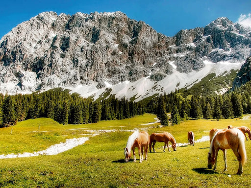 Zugspitze - Tirol - Ehrwald - Österreich - CALVENDO Foto-Puzzle - calvendoverlag 29.99