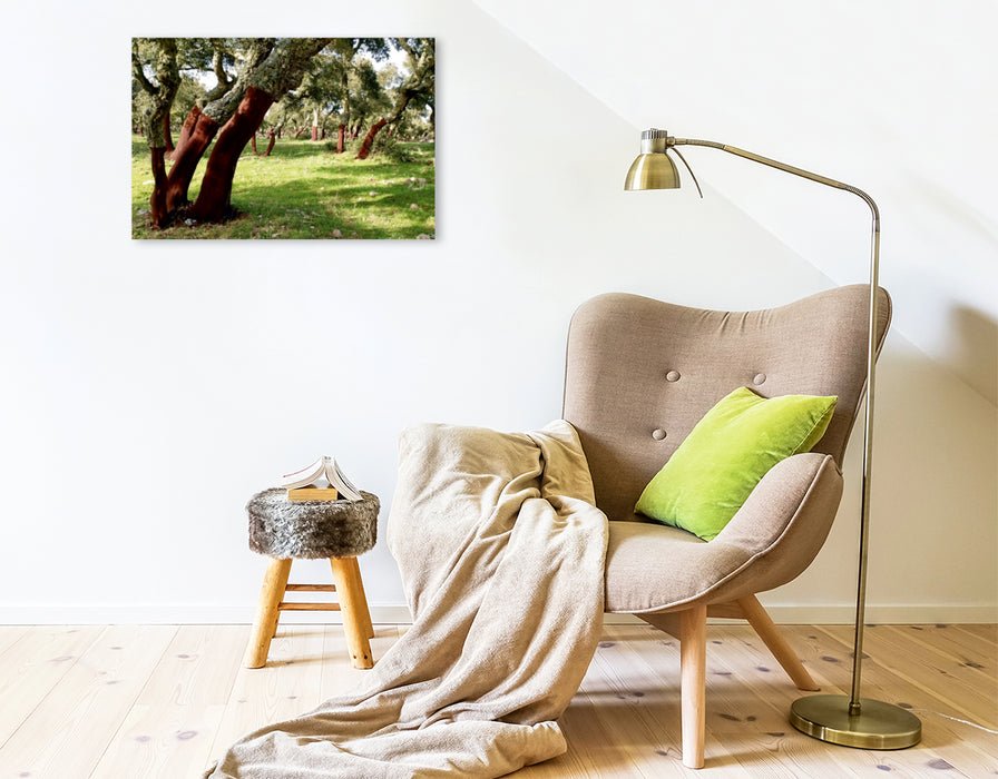 Toile textile premium Toile textile premium 75 cm x 50 cm paysage Lumières forêt de chênes-lièges en Sardaigne 