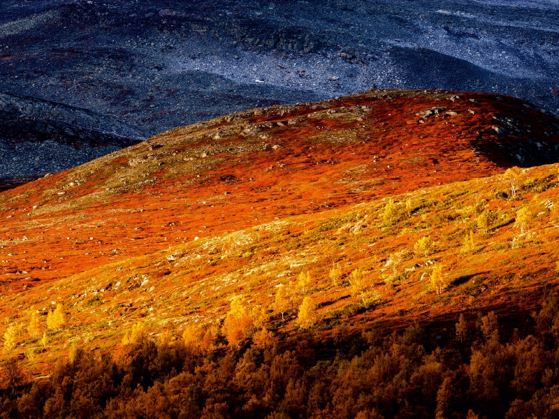 Indian Summer in Gasbu, Norwegen - CALVENDO Foto-Puzzle - calvendoverlag 34.99