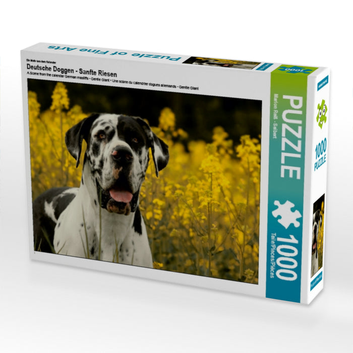 Deutsche Doggen - Sanfte Riesen - CALVENDO Foto-Puzzle - calvendoverlag 29.99