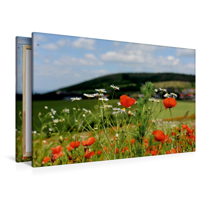 Premium Textil-Leinwand Premium Textil-Leinwand 120 cm x 80 cm quer Ein Motiv aus dem Kalender Roter Mohn, bunte Wiesen