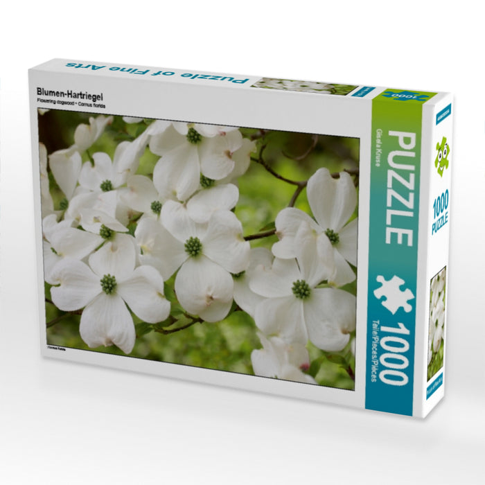 Blumen-Hartriegel - CALVENDO Foto-Puzzle - calvendoverlag 29.99