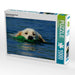 Schwimmender Hund - CALVENDO Foto-Puzzle - calvendoverlag 29.99