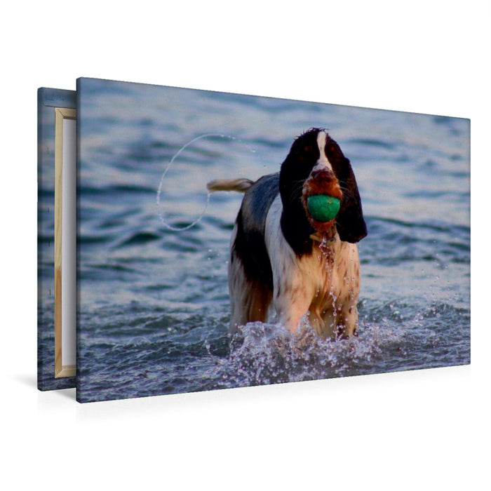 Toile textile premium Toile textile premium 120 cm x 80 cm paysage Sigi - chien jouant dans l'eau 