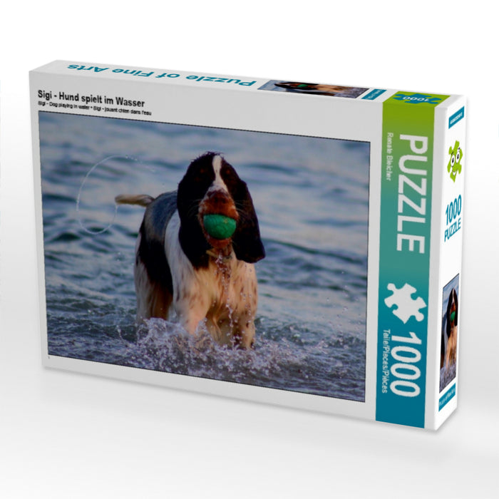 Sigi - Hund spielt im Wasser - CALVENDO Foto-Puzzle - calvendoverlag 29.99