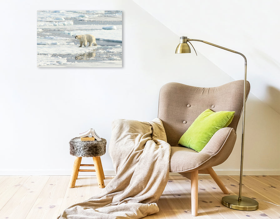 Premium Textil-Leinwand Premium Textil-Leinwand 75 cm x 50 cm quer Ein Motiv aus dem Kalender Eisbären - Könige der Arktis