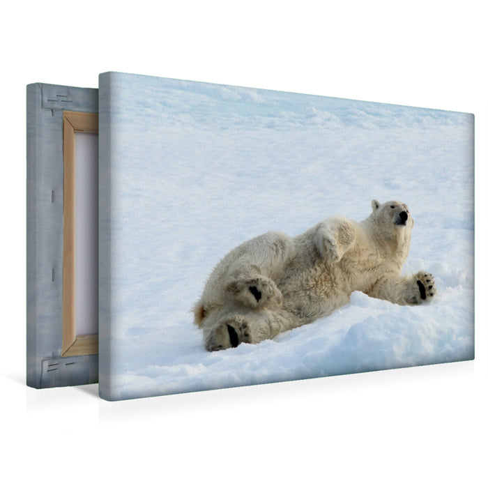 Premium Textil-Leinwand Premium Textil-Leinwand 45 cm x 30 cm quer Ein Motiv aus dem Kalender Eisbären - Könige der Arktis