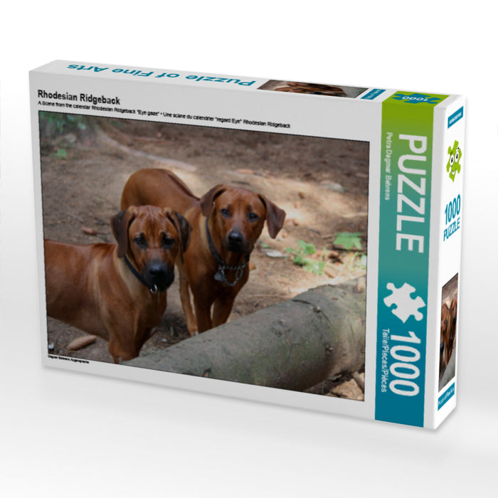 Rhodesian Ridgeback - CALVENDO Foto-Puzzle - calvendoverlag 29.99