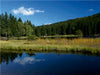 Wölkchen über dem Kleinen Arbersee - CALVENDO Foto-Puzzle - calvendoverlag 29.99