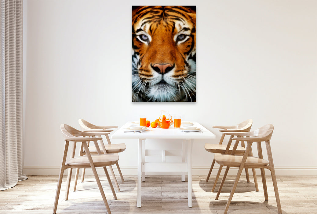 Premium Textil-Leinwand Premium Textil-Leinwand 80 cm x 120 cm  hoch Tiger Portrait