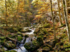 Hartelsgraben - CALVENDO Foto-Puzzle - calvendoverlag 29.99