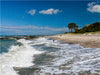 Strand von Ahrenshoop - CALVENDO Foto-Puzzle - calvendoverlag 29.99