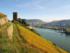 Burg Ehrenfels - CALVENDO Foto-Puzzle - calvendoverlag 29.99