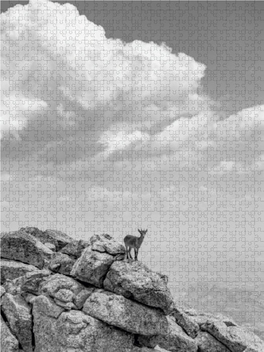 Wilde Bergwelt in Europa - CALVENDO Foto-Puzzle - calvendoverlag 29.99