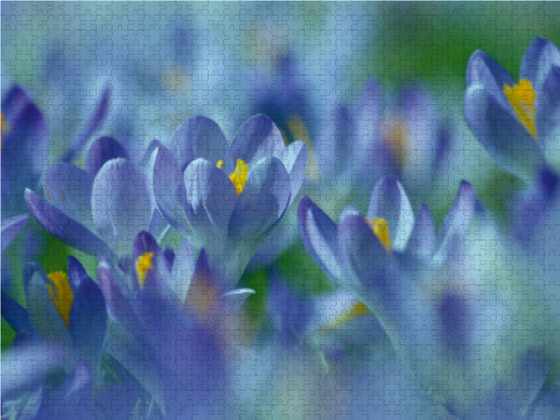 Frühlingstraum in Blau - CALVENDO Foto-Puzzle - calvendoverlag 30.99
