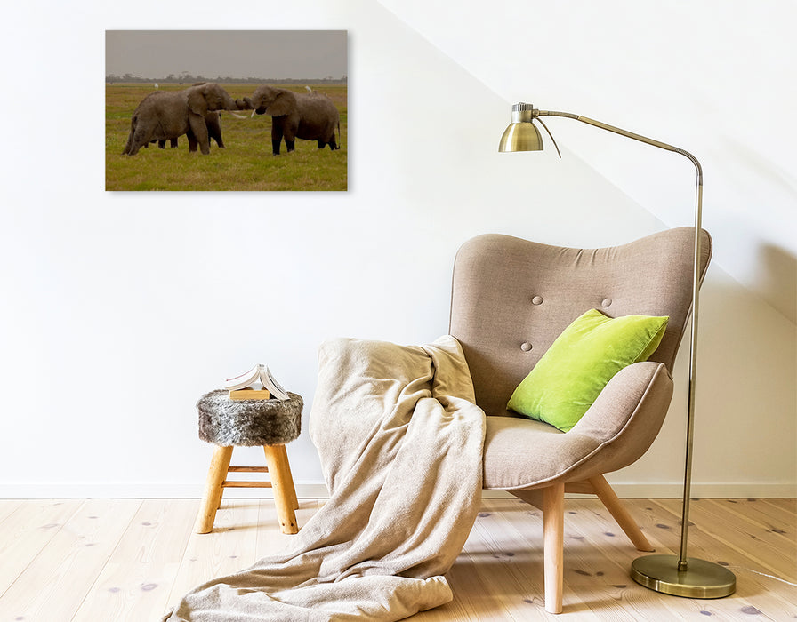 Premium Textil-Leinwand Premium Textil-Leinwand 75 cm x 50 cm quer Spielstunde der Elefanten in freier Wildbahn. Kenia