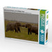 Spielstunde der Elefanten in freier Wildbahn. Kenia - CALVENDO Foto-Puzzle - calvendoverlag 34.99