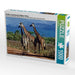 Giraffen. Faszinierende Wildtiere Afrikas - CALVENDO Foto-Puzzle - calvendoverlag 32.99