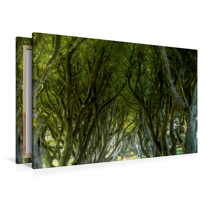 Premium Textil-Leinwand Premium Textil-Leinwand 120 cm x 80 cm quer The Dark Hedges