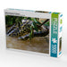 Gelbe Anakonda im Pantanal - CALVENDO Foto-Puzzle - calvendoverlag 29.99