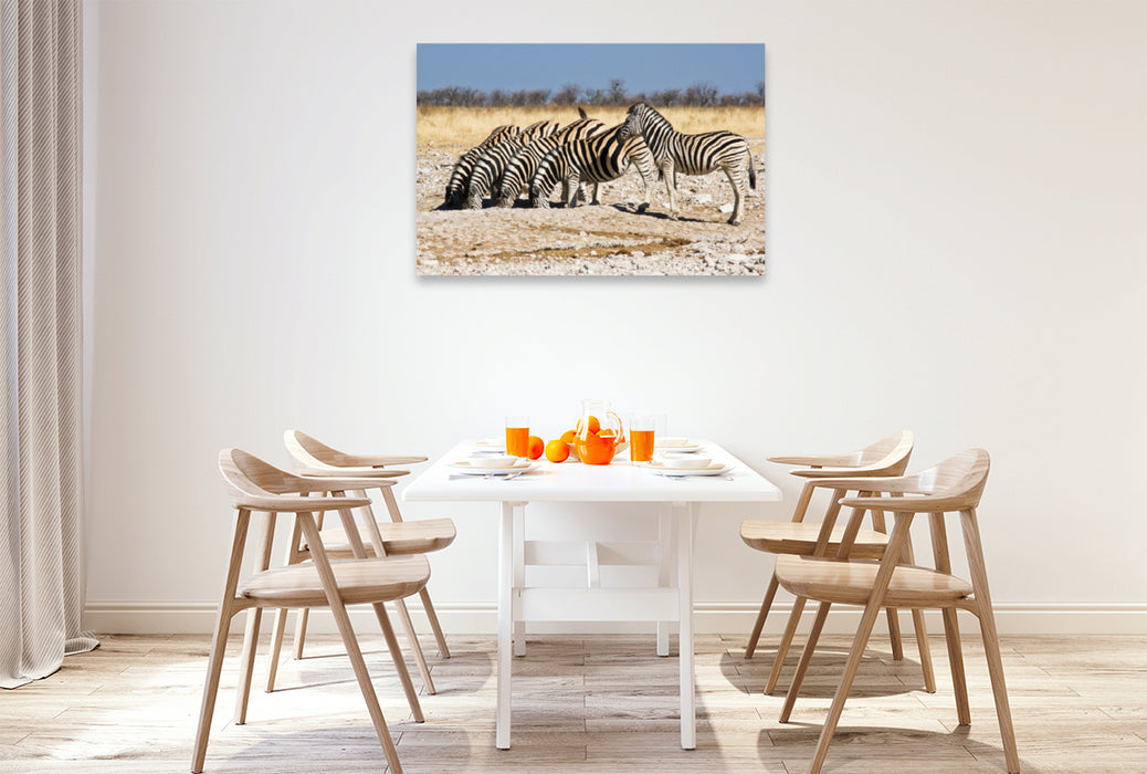 Premium Textil-Leinwand Premium Textil-Leinwand 120 cm x 80 cm quer Burchell Zebras an einem Wasserloch im Etosha National Park