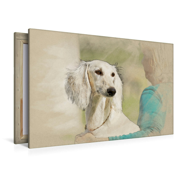 Premium Textil-Leinwand Premium Textil-Leinwand 120 cm x 80 cm quer Ein Motiv aus dem Kalender Saluki Portraits