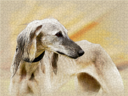 Saluki Portraits - CALVENDO Foto-Puzzle - calvendoverlag 29.99