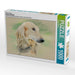 Saluki Portraits - CALVENDO Foto-Puzzle - calvendoverlag 29.99