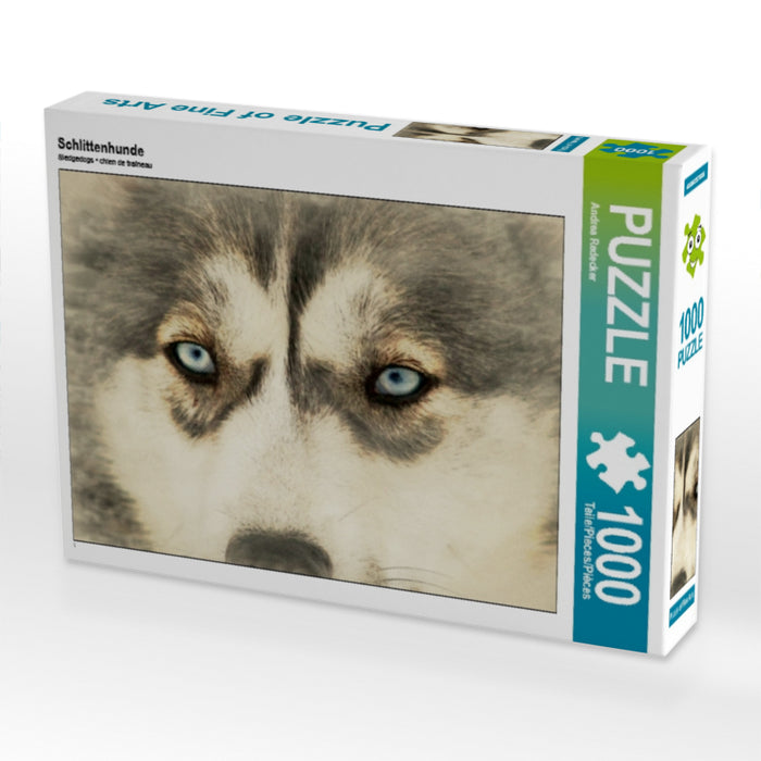 Schlittenhunde - CALVENDO Foto-Puzzle - calvendoverlag 29.99