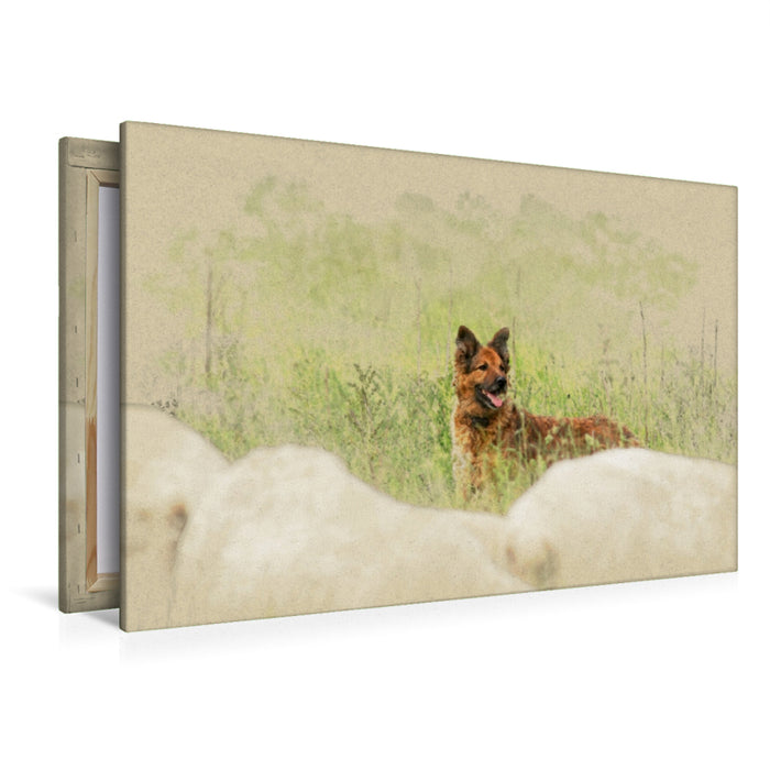 Premium Textil-Leinwand Premium Textil-Leinwand 120 cm x 80 cm quer Ein Motiv aus dem Kalender Altdeutsche Hütehunde 2017