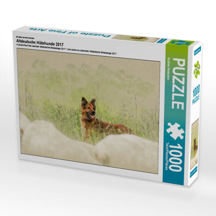 Altdeutsche Hütehunde 2017 - CALVENDO Foto-Puzzle - calvendoverlag 29.99