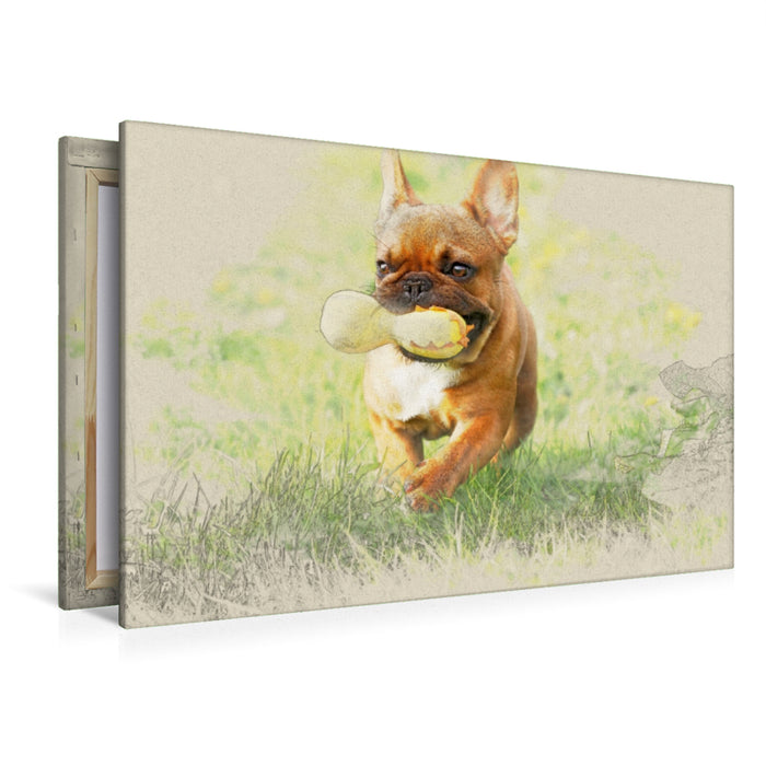 Premium Textil-Leinwand Premium Textil-Leinwand 120 cm x 80 cm quer Ein Motiv aus dem Kalender Französische Bulldoggen 2017