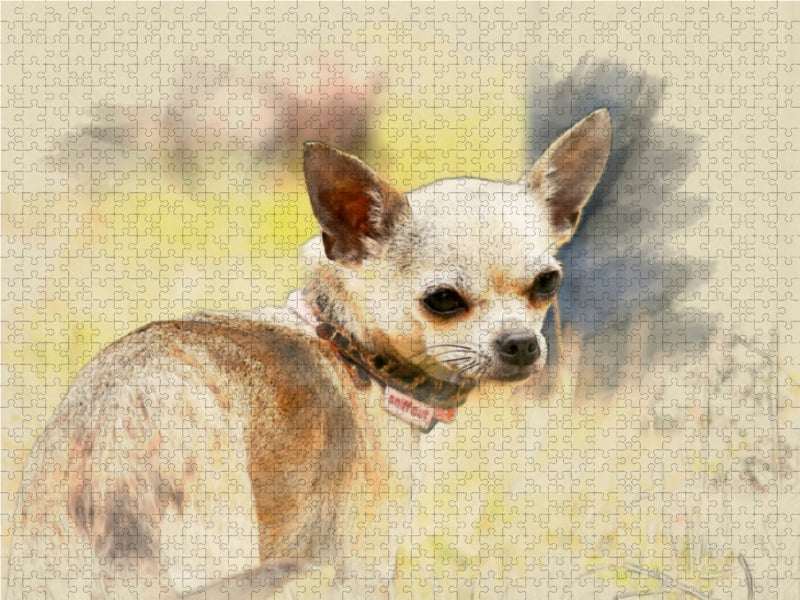 Chihuahuas 2017 - CALVENDO Foto-Puzzle - calvendoverlag 29.99