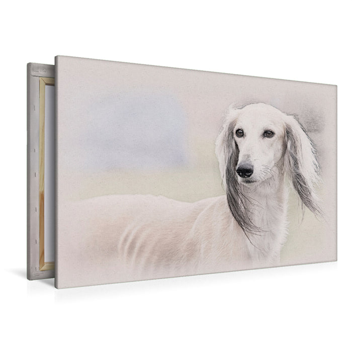 Premium Textil-Leinwand Premium Textil-Leinwand 120 cm x 80 cm quer Saluki