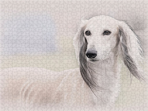 Saluki - CALVENDO Foto-Puzzle - calvendoverlag 29.99