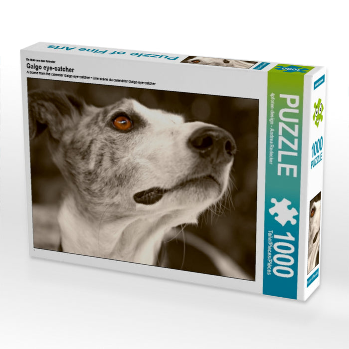 Galgo eye-catcher - CALVENDO Foto-Puzzle - calvendoverlag 29.99