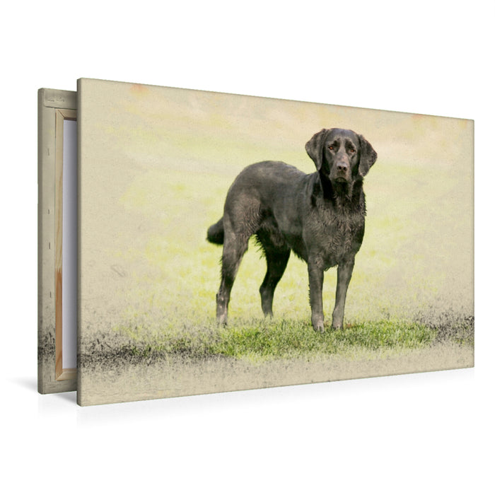 Toile textile premium Toile textile premium 120 cm x 80 cm paysage Un motif du calendrier Labrador Retriever 2017 