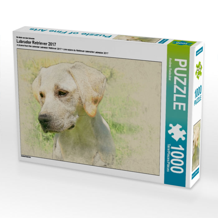 Labrador Retriever 2017 - CALVENDO Foto-Puzzle - calvendoverlag 29.99