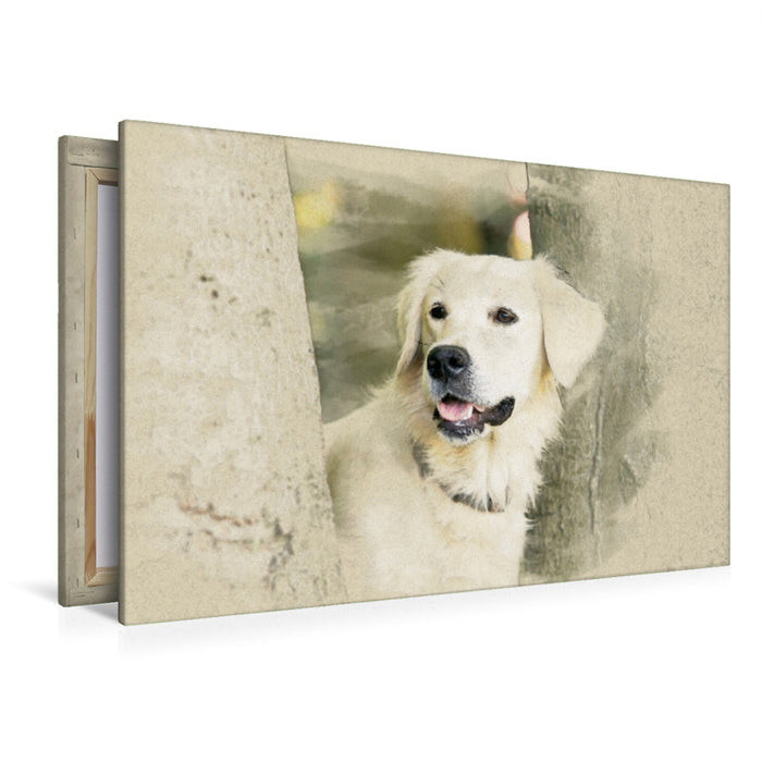 Premium Textil-Leinwand Premium Textil-Leinwand 120 cm x 80 cm quer Ein Motiv aus dem Kalender Golden Retriever 2017