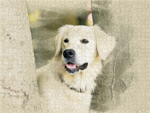 Golden Retriever 2017 - CALVENDO Foto-Puzzle - calvendoverlag 29.99