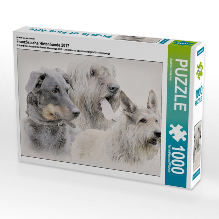 Französische Hirtenhunde 2017 - CALVENDO Foto-Puzzle - calvendoverlag 29.99